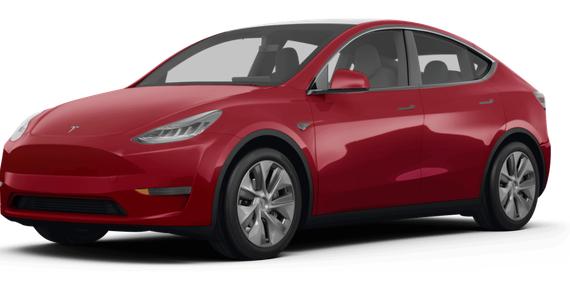 TESLA MODEL Y 2023 7SAYGDEE3PF608894 image